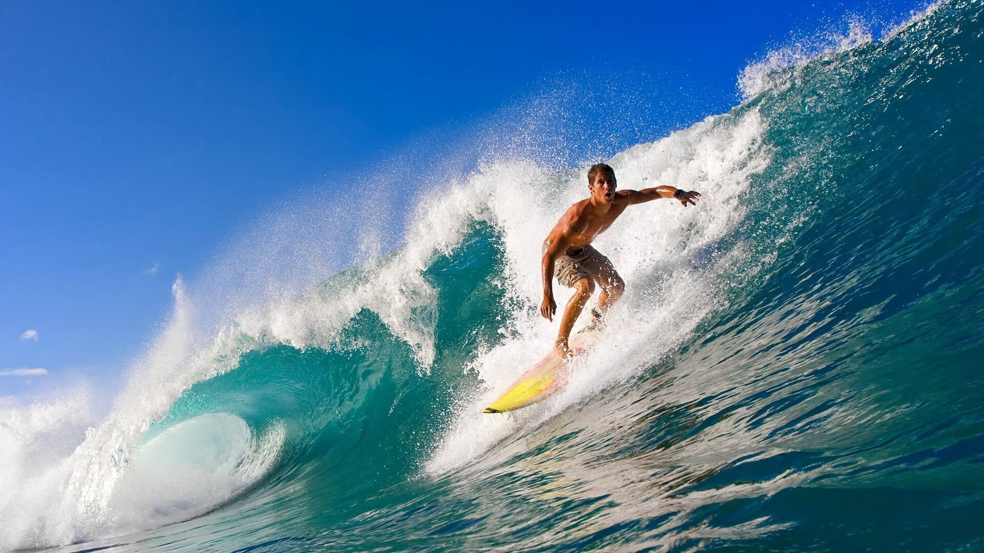 赛道上的红与黑，法拉利绝杀哈斯，维斯塔潘率队登顶